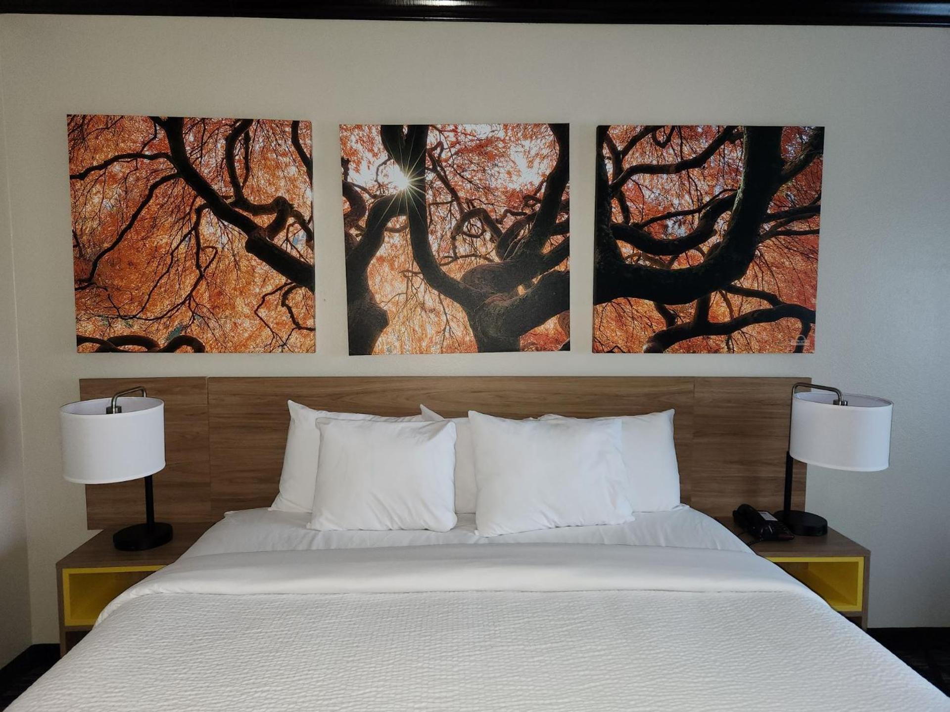 Days Inn By Wyndham Baton Rouge I-10 Prairieville Ngoại thất bức ảnh