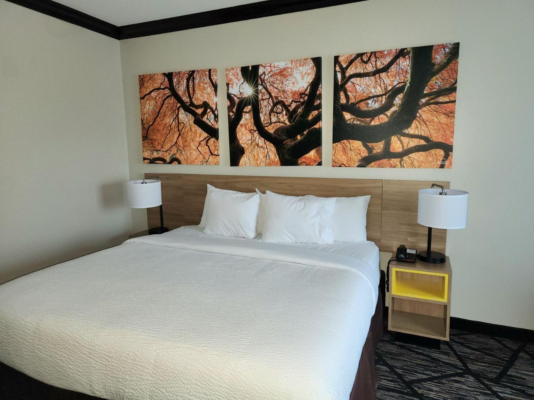 Days Inn By Wyndham Baton Rouge I-10 Prairieville Ngoại thất bức ảnh